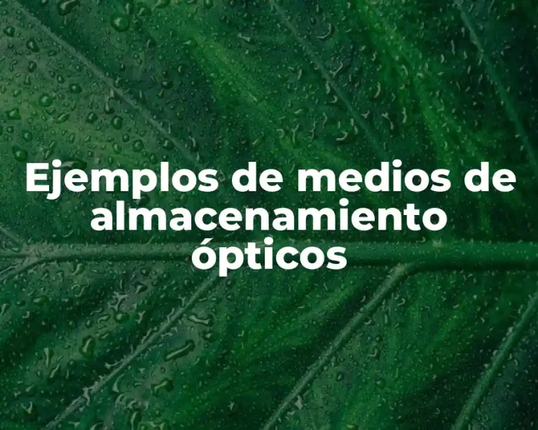 Ejemplos de medios de almacenamiento ópticos