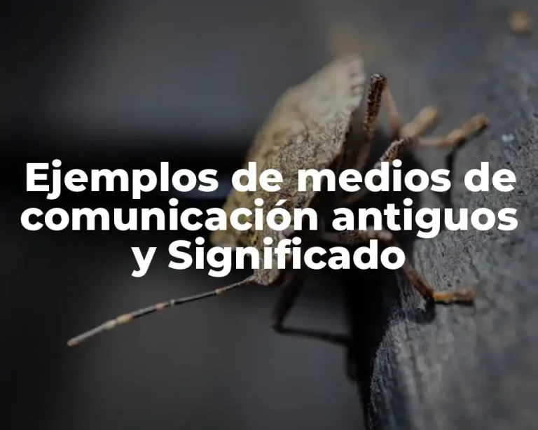 Ejemplos de medios de comunicación antiguos y Significado