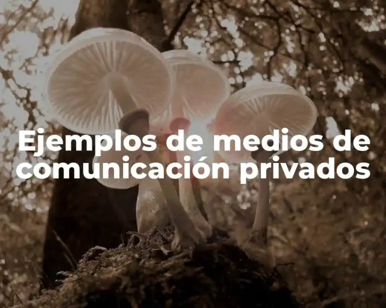 Ejemplos de medios de comunicación privados