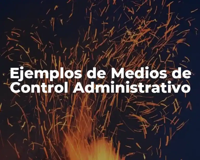 Ejemplos de Medios de Control Administrativo
