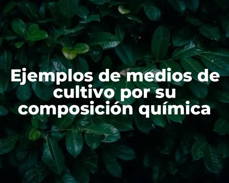 Ejemplos de medios de cultivo por su composición química