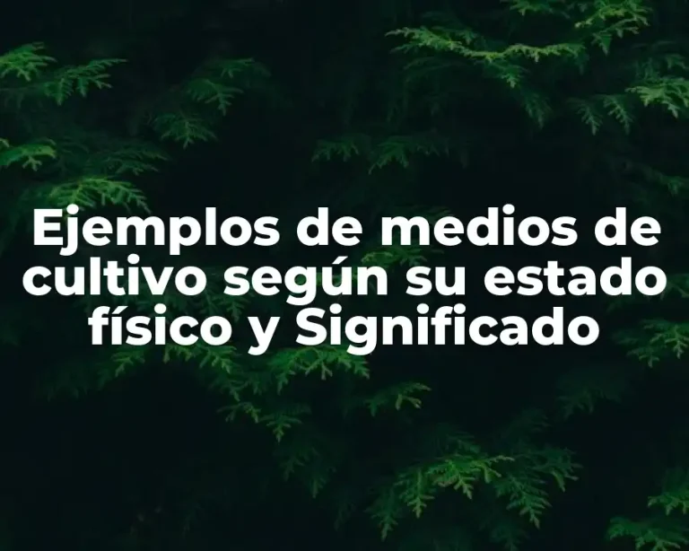 Ejemplos de medios de cultivo según su estado físico y Significado