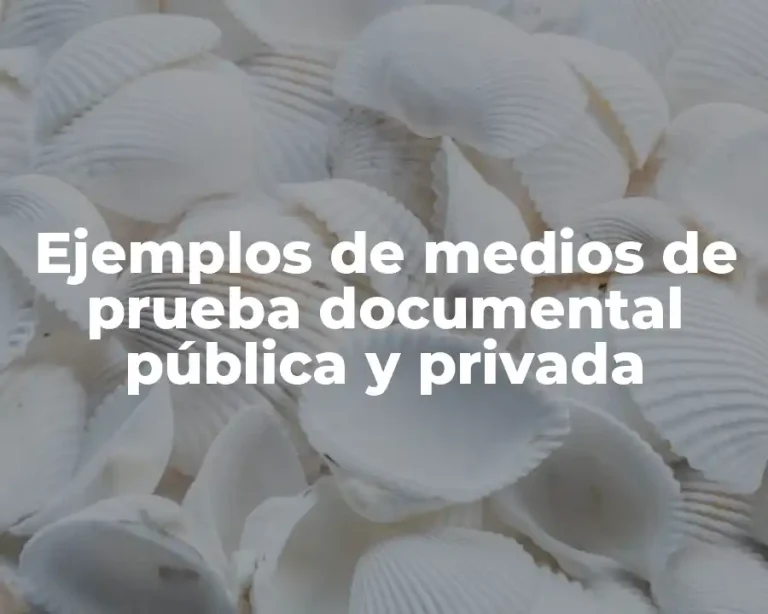 Ejemplos de medios de prueba documental pública y privada