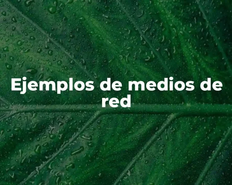 Ejemplos de medios de red