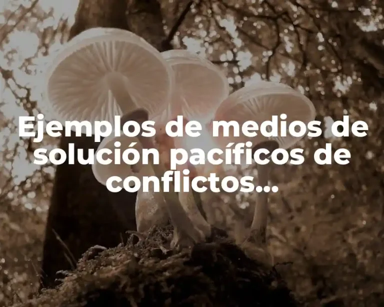 Ejemplos de medios de solución pacíficos de conflictos internacionales