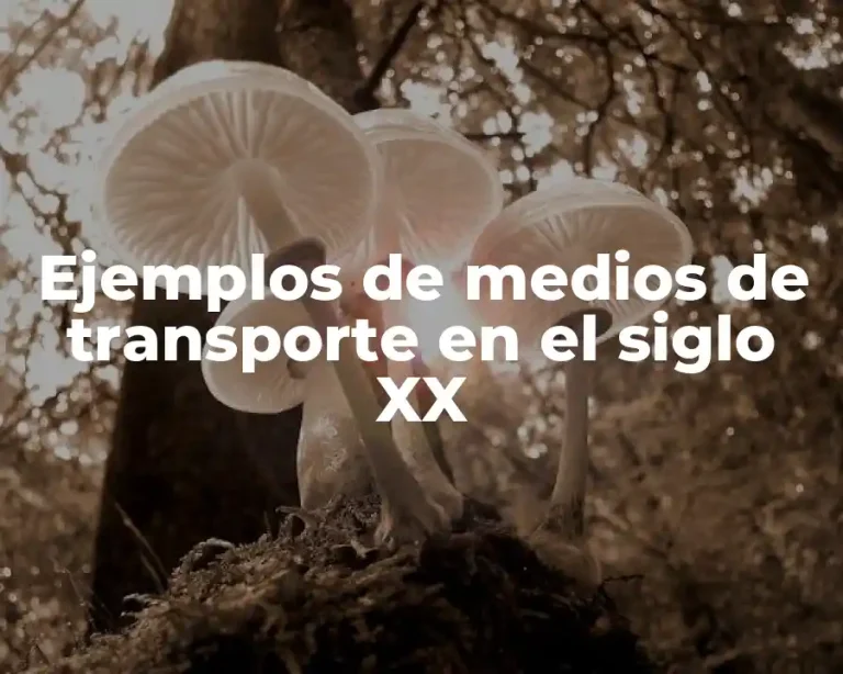 Ejemplos de medios de transporte en el siglo XX