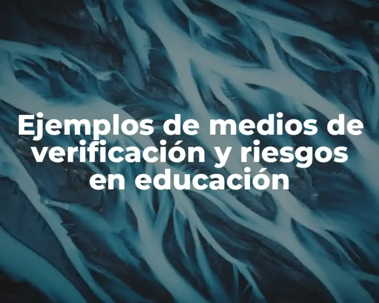 Ejemplos de medios de verificación y riesgos en educación