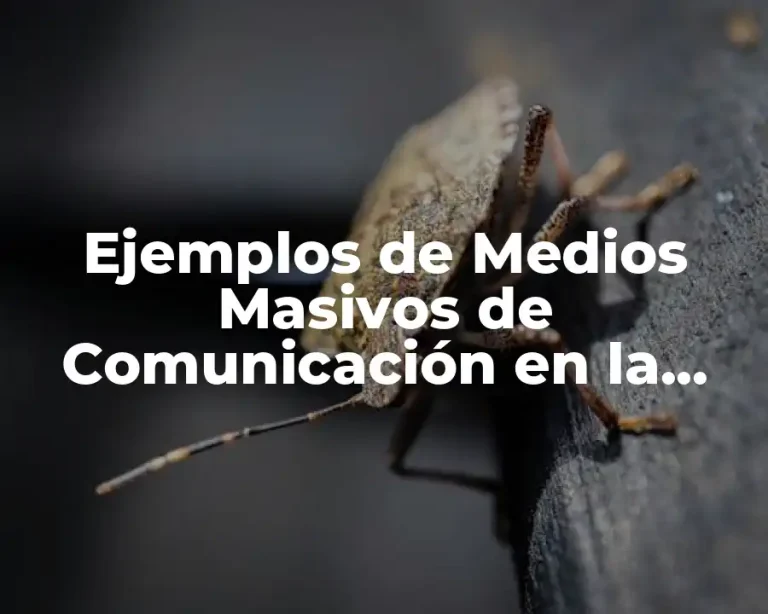 Ejemplos de Medios Masivos de Comunicación en la Sociedad