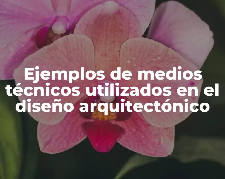 Ejemplos de medios técnicos utilizados en el diseño arquitectónico