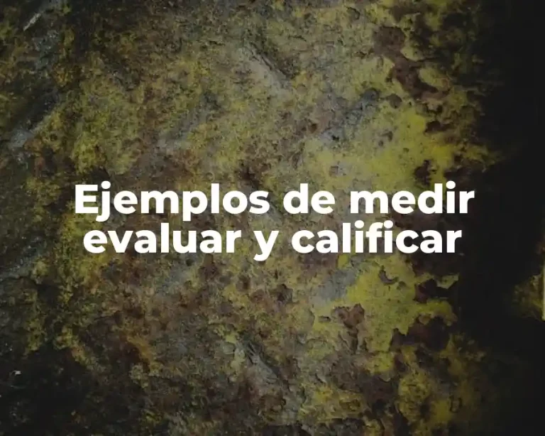 Ejemplos de medir evaluar y calificar