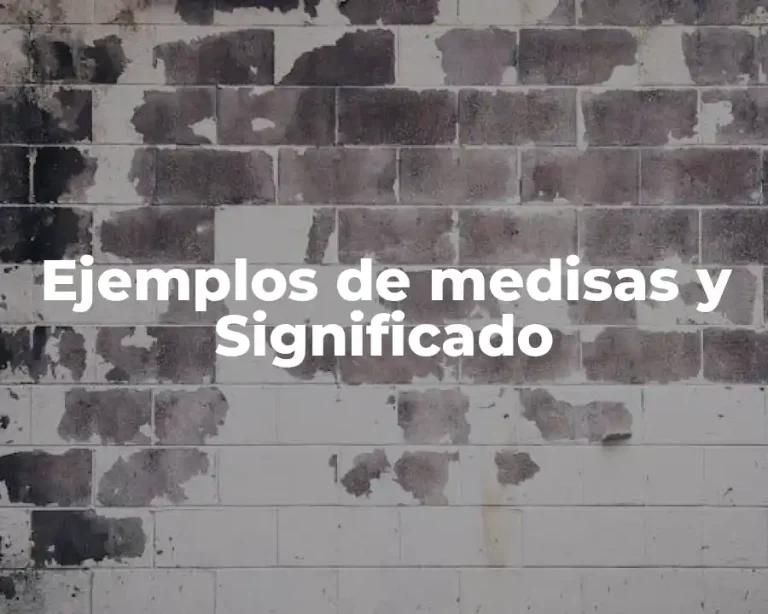 Ejemplos de medisas y Significado