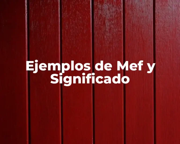 Ejemplos de Mef y Significado