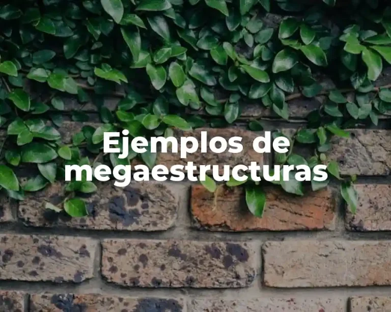 Ejemplos de megaestructuras