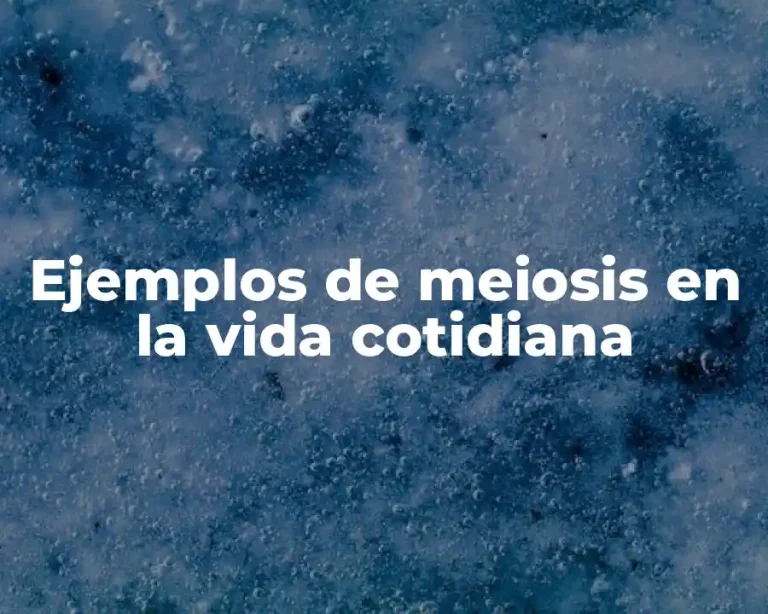 Ejemplos de meiosis en la vida cotidiana