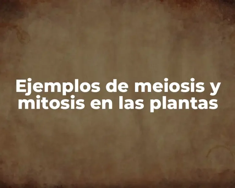 Ejemplos de meiosis y mitosis en las plantas