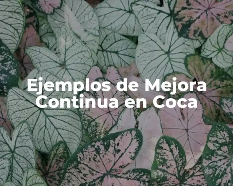Ejemplos de Mejora Continua en Coca