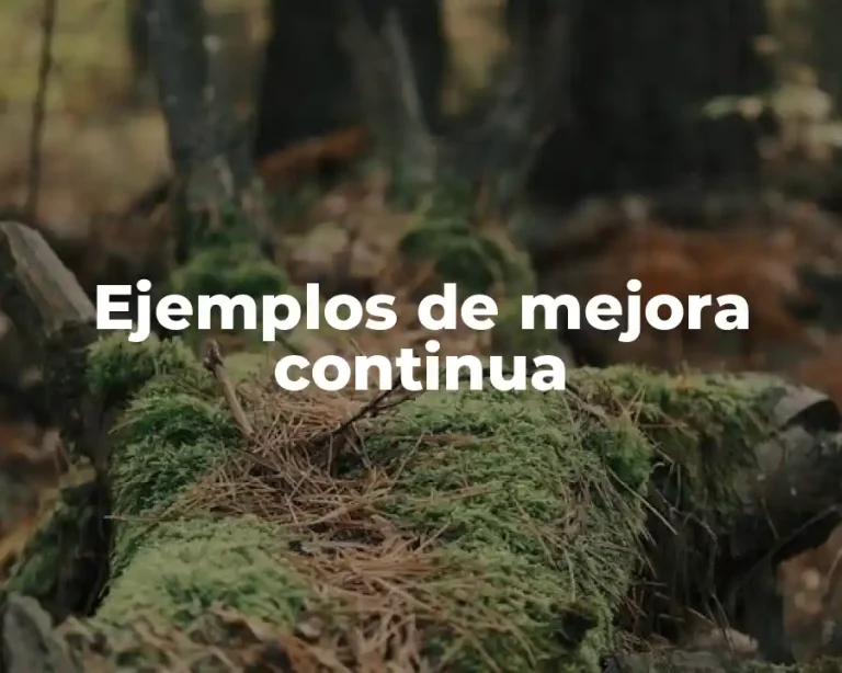 Ejemplos de mejora continua