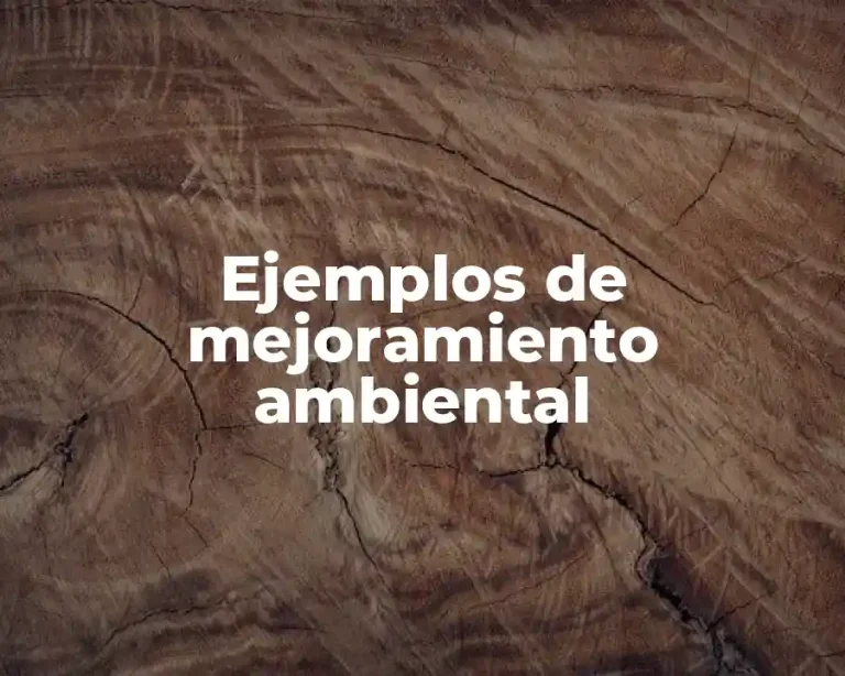 Ejemplos de mejoramiento ambiental