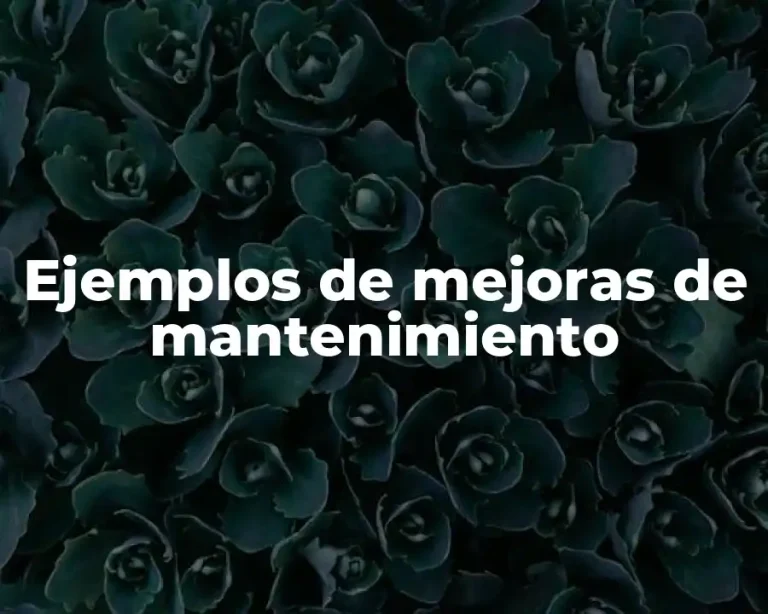 Ejemplos de mejoras de mantenimiento