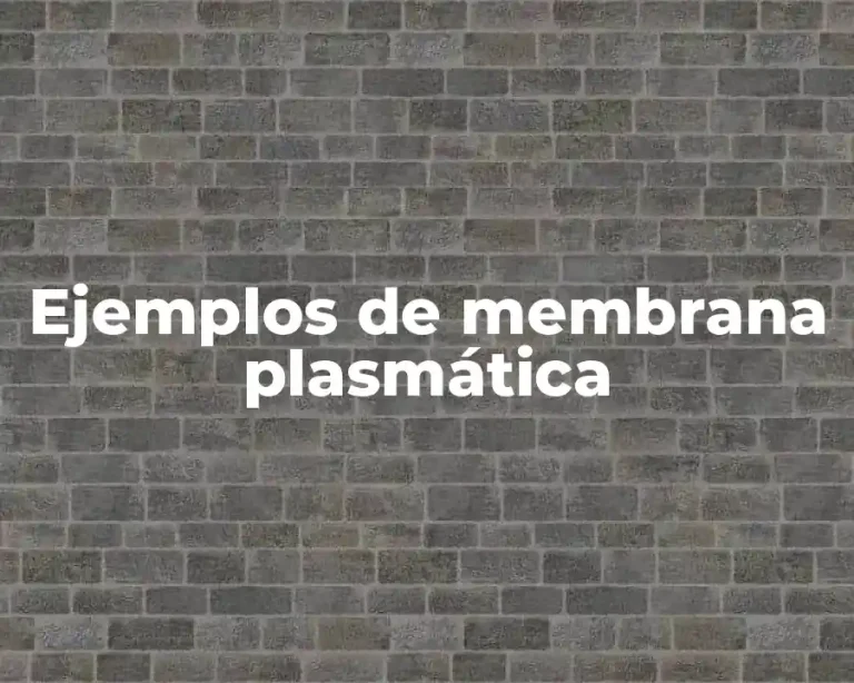 Ejemplos de membrana plasmática