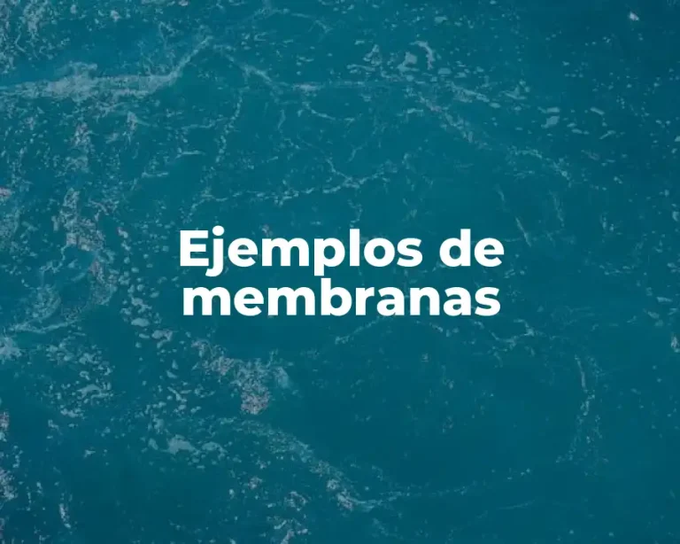 Ejemplos de membranas