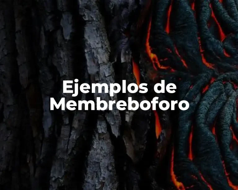 Ejemplos de Membreboforo