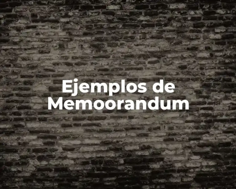 Ejemplos de Memoorandum