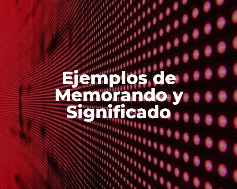Ejemplos de Memorando y Significado