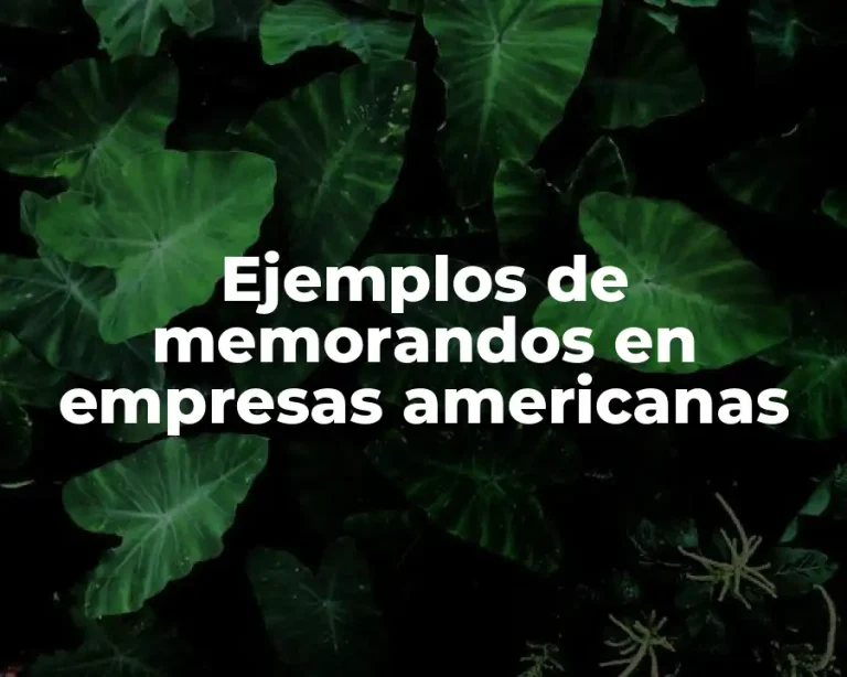 Ejemplos de memorandos en empresas americanas