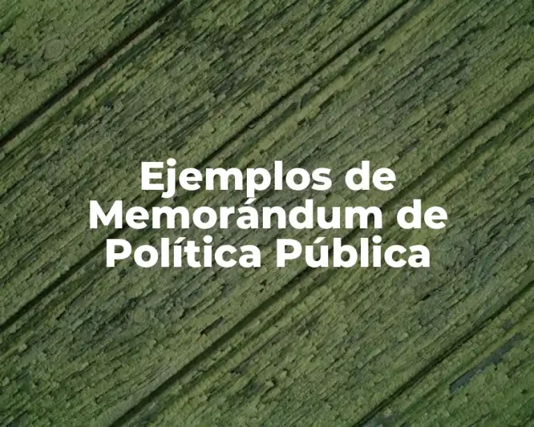 Ejemplos de Memorándum de Política Pública