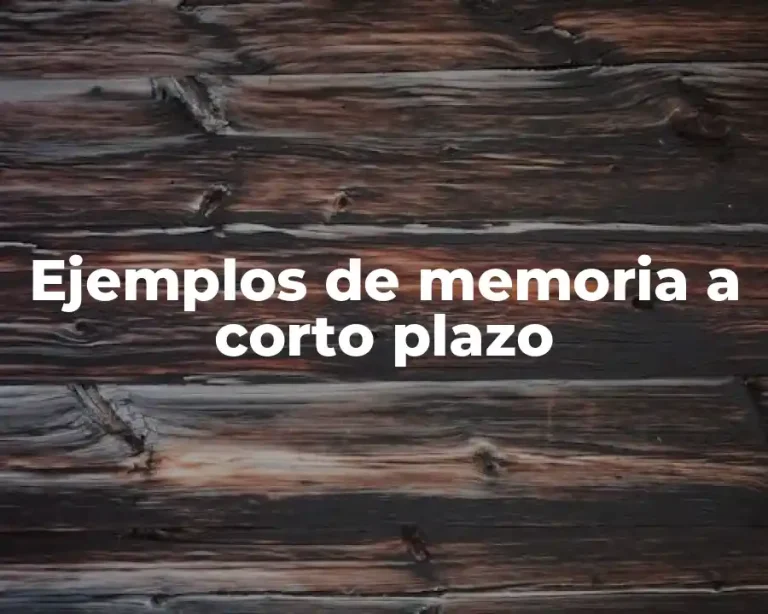 Ejemplos de memoria a corto plazo