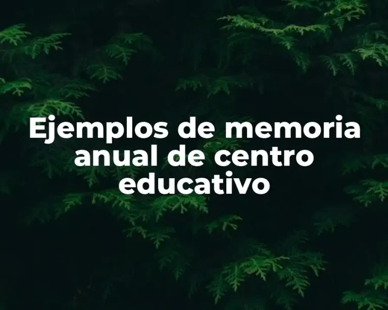Ejemplos de memoria anual de centro educativo