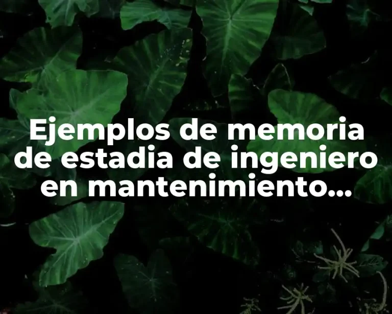 Ejemplos de memoria de estadia de ingeniero en mantenimiento industrial y Significado