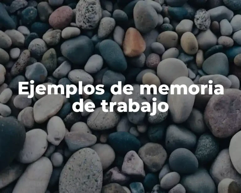 Ejemplos de memoria de trabajo
