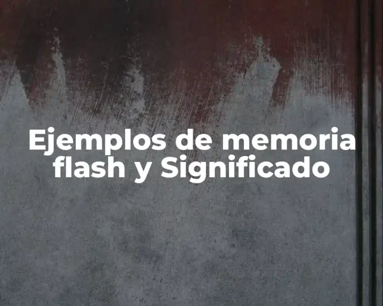 Ejemplos de memoria flash y Significado
