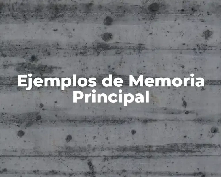 Ejemplos de Memoria Principal