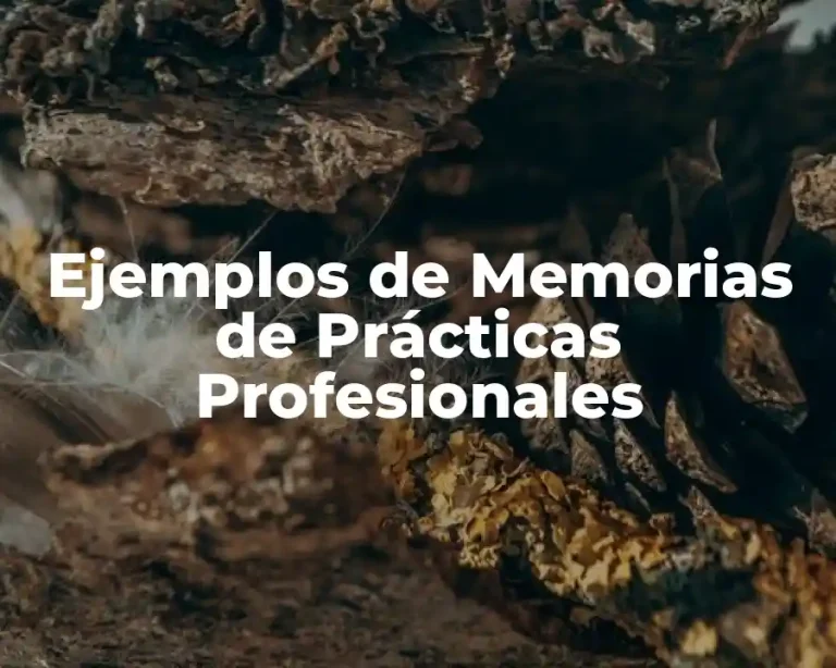 Ejemplos de Memorias de Prácticas Profesionales