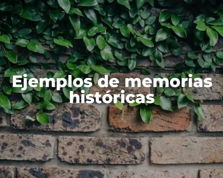 Ejemplos de memorias históricas