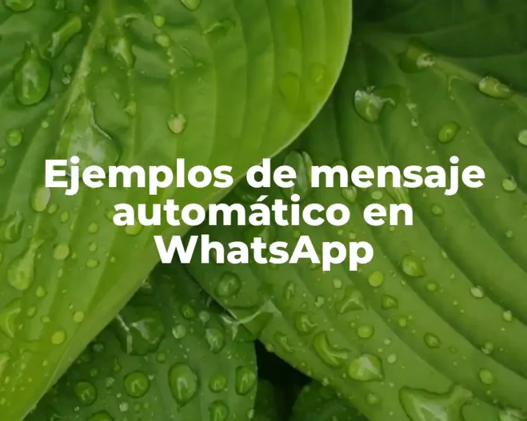 Ejemplos de mensaje automático en WhatsApp