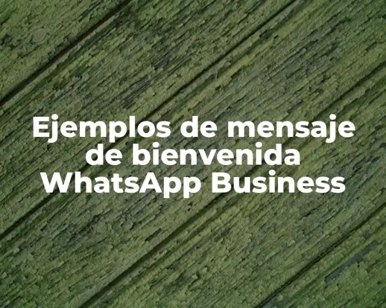Ejemplos de mensaje de bienvenida WhatsApp Business