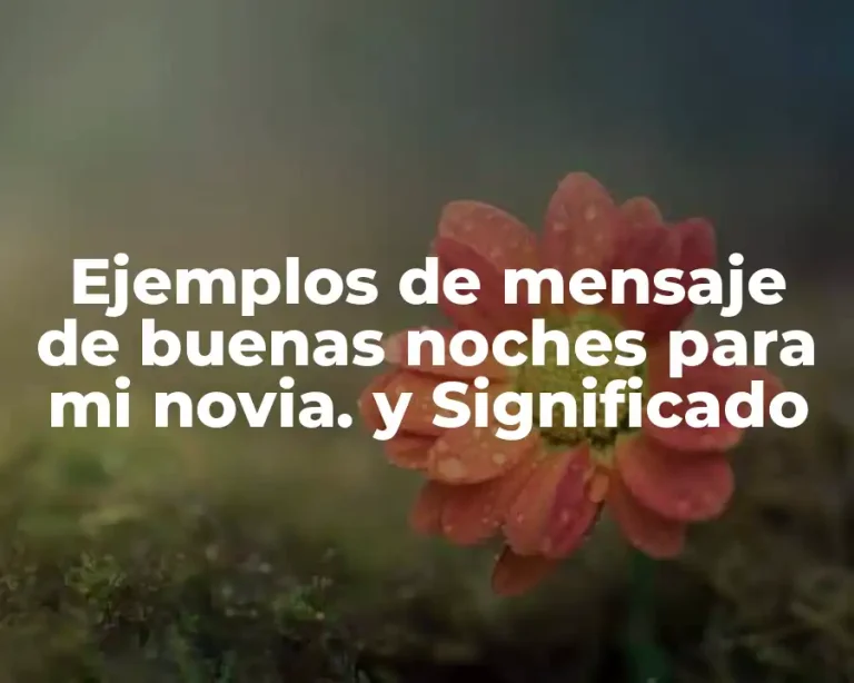Ejemplos de mensaje de buenas noches para mi novia. y Significado