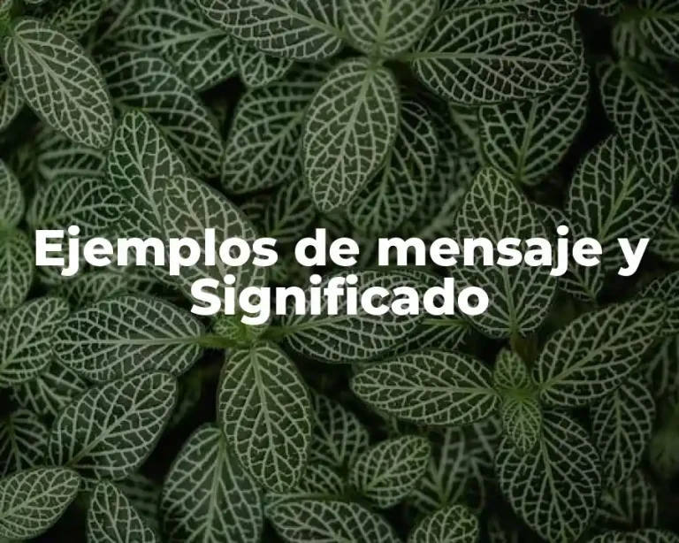 Ejemplos de mensaje y Significado