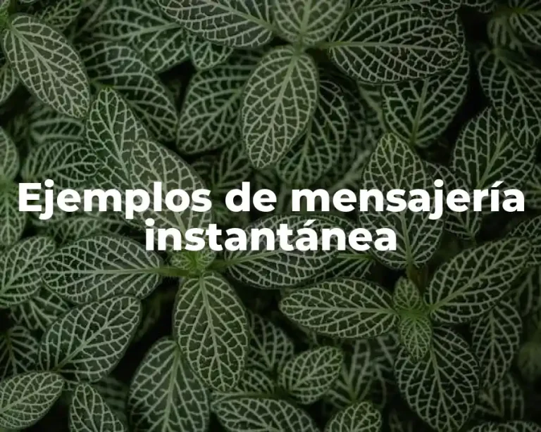 Ejemplos de mensajería instantánea