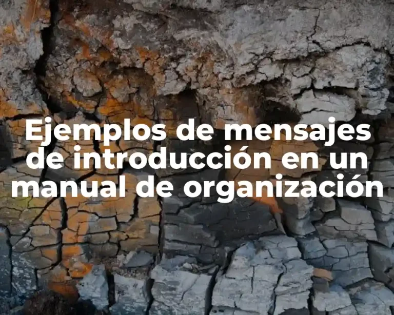 Ejemplos de mensajes de introducción en un manual de organización
