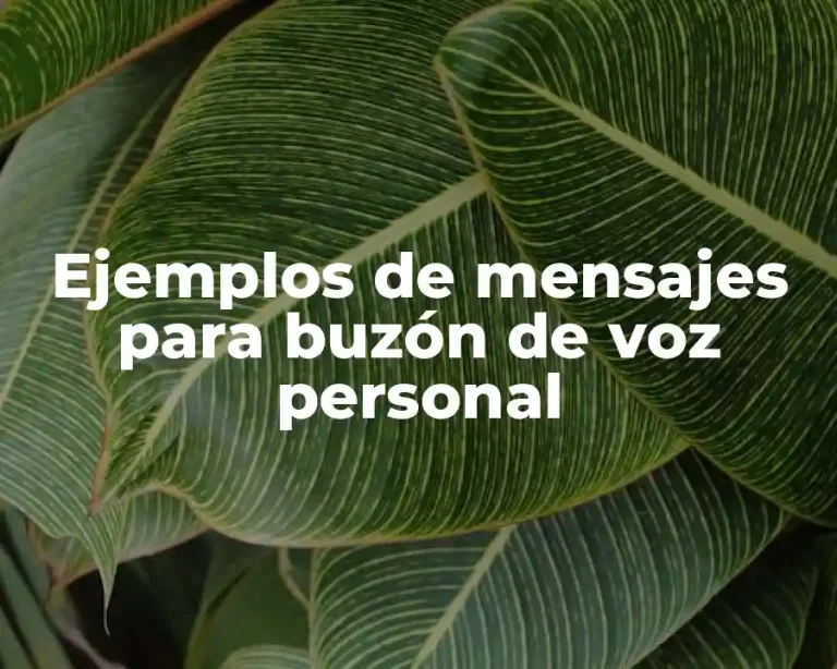 Ejemplos de mensajes para buzón de voz personal