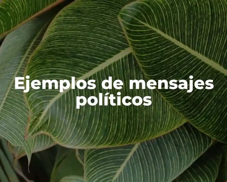 Ejemplos de mensajes políticos