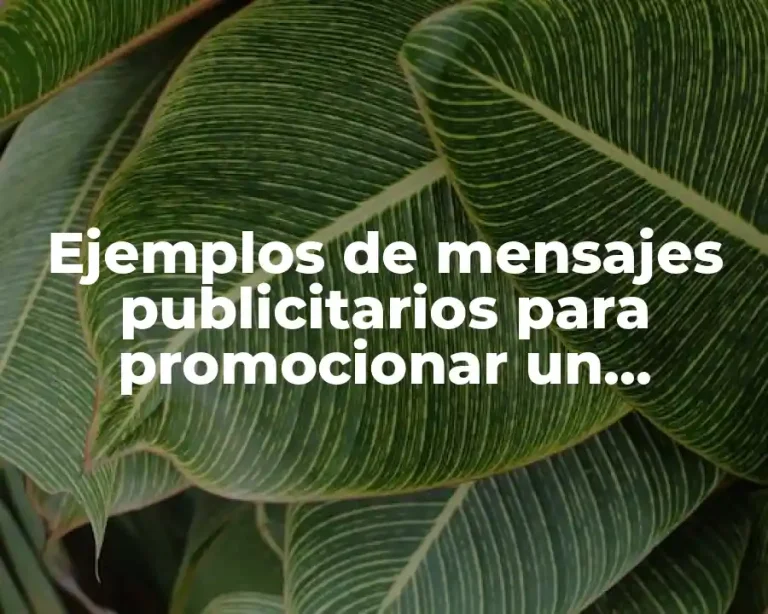 Ejemplos de mensajes publicitarios para promocionar un producto perfume