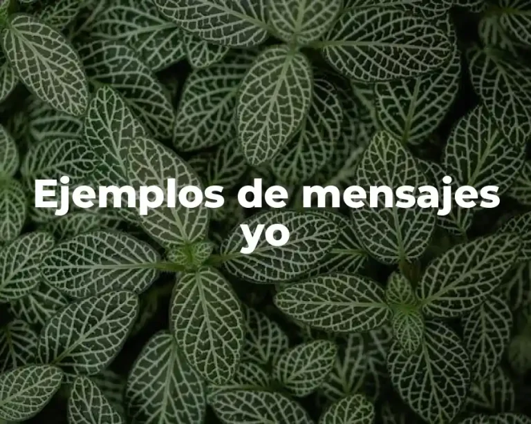 Ejemplos de mensajes yo