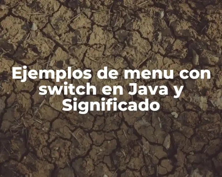 Ejemplos de menu con switch en Java y Significado