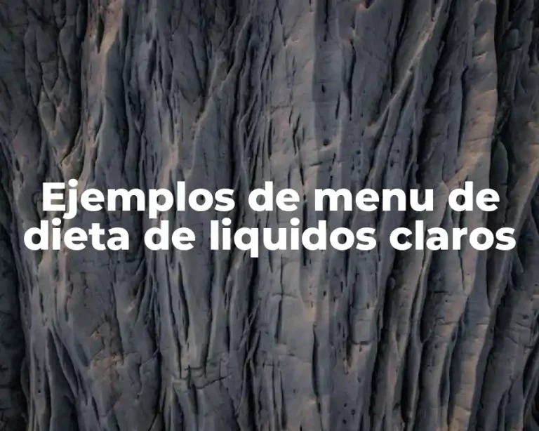 Ejemplos de menu de dieta de liquidos claros